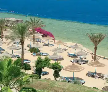 Queen Sharm Resort - 14