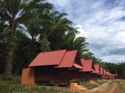 Khao Sok Evergreen House - 23