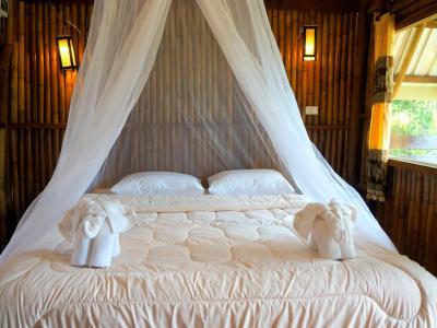 Khao Sok Jungle - 1