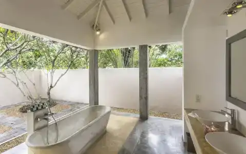 The Frangipani Tree by Edwards Collection - 66