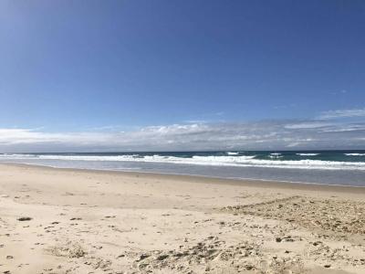 Glen Eden Beach - 19