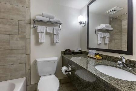 Best Western Plus Thunderbird Suites - 89