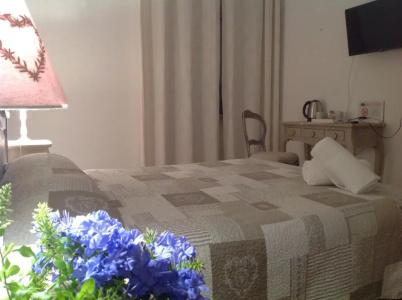 City Garden Guest House - 43