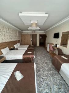 Van Diana Otel - 39