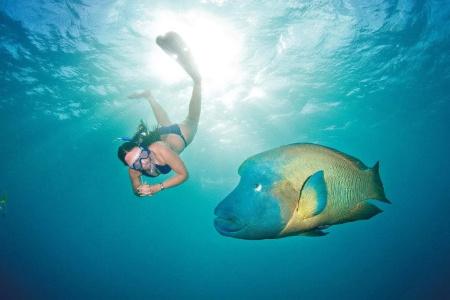 Le Cher Du Monde Adults Only - 24