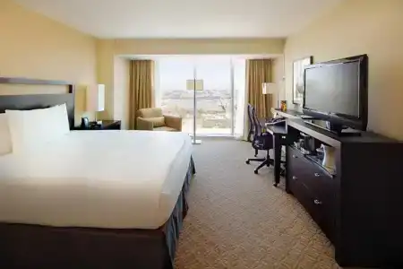 Hilton Anaheim - 87