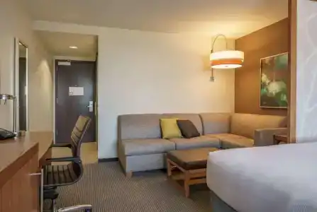 Hyatt Place Houston Galleria - 26