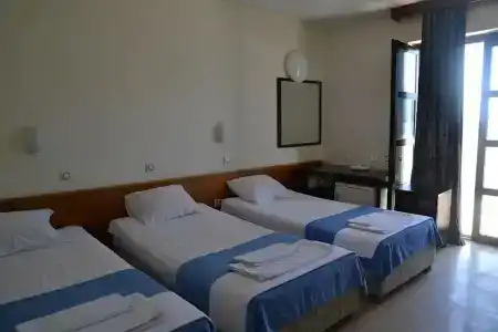 Garni Vila Aleksandar - 1