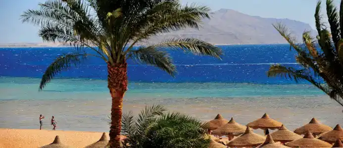 Baron Palms Resort Sharm El Sheikh (Adults Only) - 10