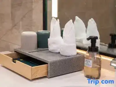 Cristal Hôtel & Spa - 47