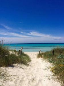 Blau Colònia Sant Jordi - 32