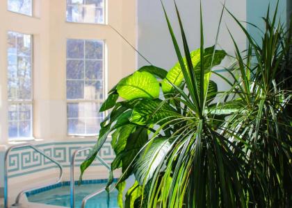 Senator Inn & Spa - 12