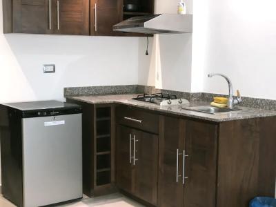 Figaro Samana - 24