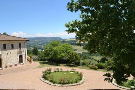 Tenuta Pizzogallo - 29