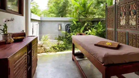 Good Karma Ayurvedic Resort - 18