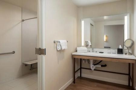 Sheraton Carlsbad Resort & Spa - 61