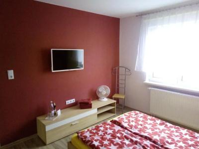 Pension zum Ringelberg - 65
