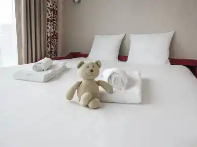 Mercure Clermont Ferrand centre Jaude - 111