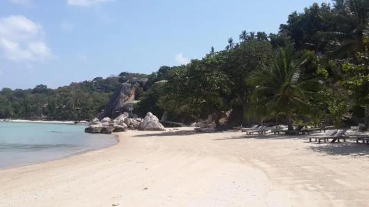 Woodlawn Villas Resort Sha Plus - 54