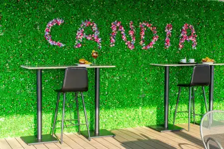 Candia - 25