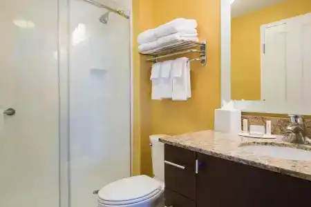 TownePlace Suites by Marriott South/Hamburg Place - 67