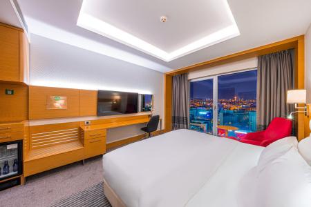 Holiday Inn Ankara - Cukurambar, an IHG - 42