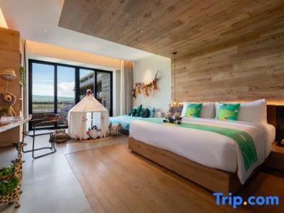 1 Haitang Bay, Sanya - 43