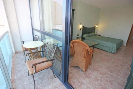 Kaktus Albir - 51