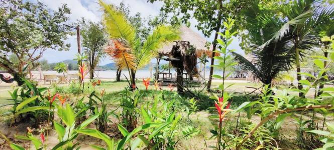 Dolphin Bay - 30