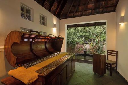 Heritance Ayurveda - All Meals and Treatments - Level 1 Certified - 33