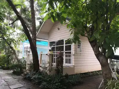 Reera Resort - 12