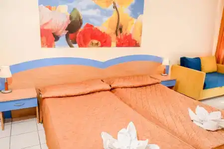 Dolphin All Inclusive - 6