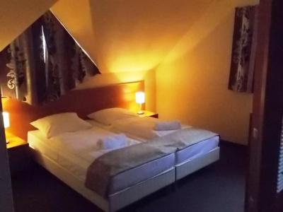 Vineyard Inn - Szőlőskert - 4