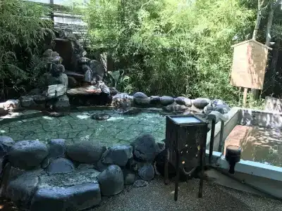 ウェルネスの森 伊東 共立リゾート - 38