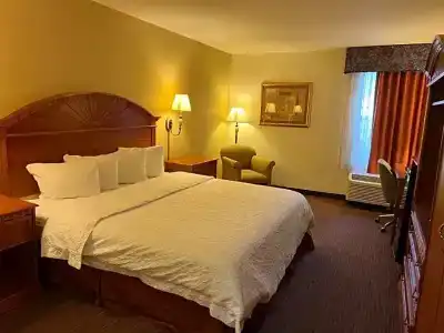Orlando Palms - 44