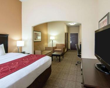Comfort Suites West I-20 - 2