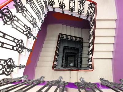 Purple Nest - 11