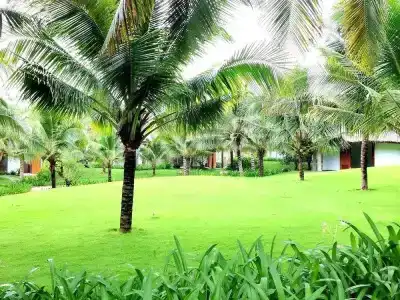 Sonata Resort & Spa - 50