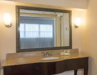 Holiday Inn Miami Beach-Oceanfront, an IHG - 7