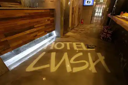 Lush - 11
