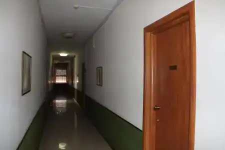 Sileno - 6