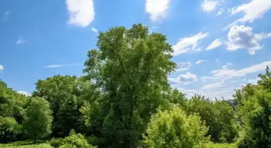 Днепр - 14