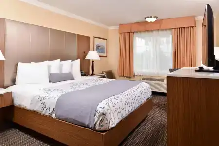 Best Western Airpark - Los Angeles Lax Airport - 3
