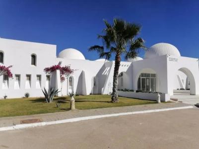 Bougainvillier Djerba - 9