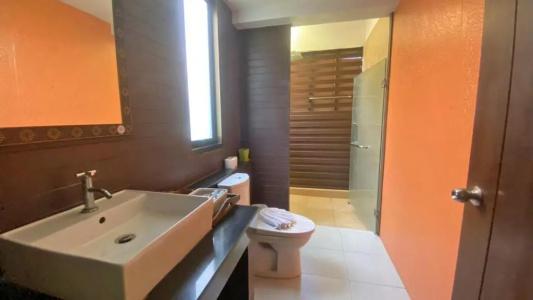 Phi Phi Andaman Beach Resort-Sha Plus - 84