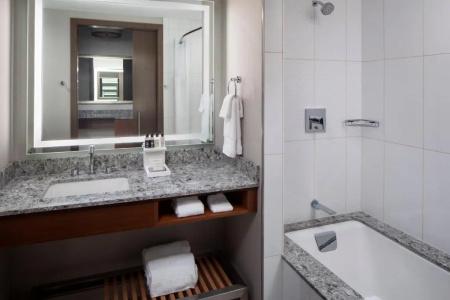 DoubleTree by Hilton - Mayo Clinic Area - 60