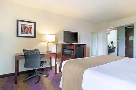 Quality Inn West End - 40