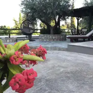 Fiore di Flora - 7