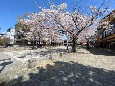 Rinn Gion Shirakawa - 11