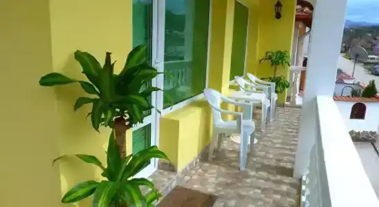 Complex Tera Verde - 5